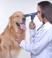 DRA DANIELA OFTALMOLOGISTA